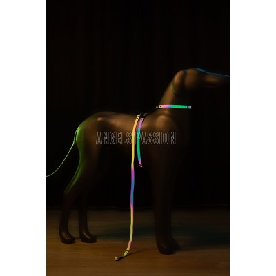 Karanlıkta Renkli Parlayan Şık Köpek Tasma, Özel Tasarım Reflektörlü Köpek Tasması - NPD002