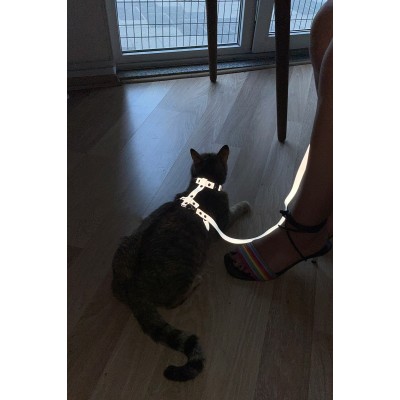 Karanlıkta Yansıyan Reflektörlü Kedi Harness, Özel Tasarım Kedi Harness