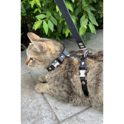 Kedi Gezdirme Tasması, Deri Kedi Gezdirme Tasması