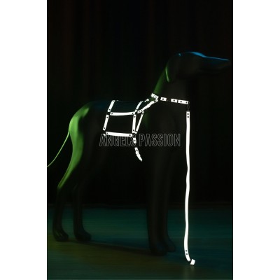 Reflektörlü Köpek Harness - Karanlıkta Yansıyan Köpek Harness - Köpek Gezdirme Tasması - NPD006