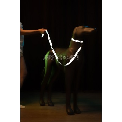 Reflektörlü Köpek Tasması - NPD005